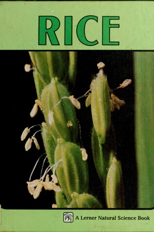 Cover of Rice