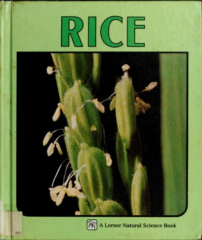 Book cover for Rice