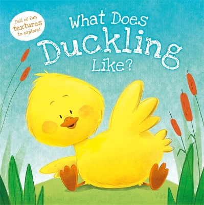 Cover of What Does Duckling Like?