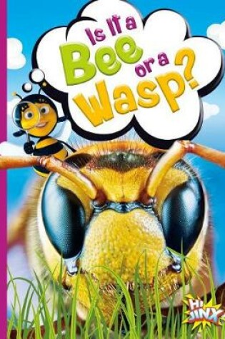 Cover of Is It a Bee or a Wasp?