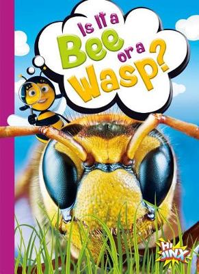 Cover of Is It a Bee or a Wasp?