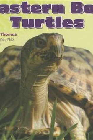 Cover of Eastern Box Turtles