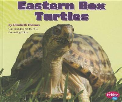 Cover of Eastern Box Turtles