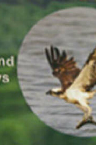 Cover of The Lakeland Ospreys