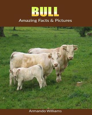 Book cover for Bull