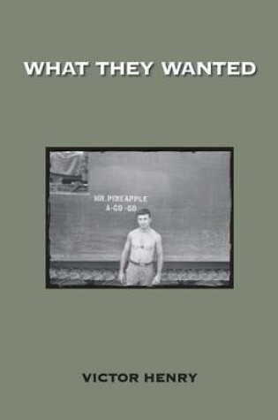 Cover of What They Wanted