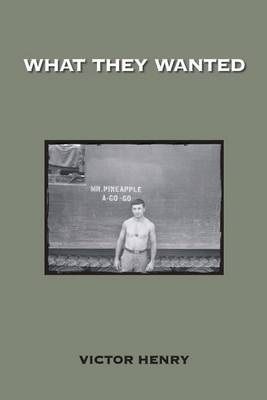 Book cover for What They Wanted