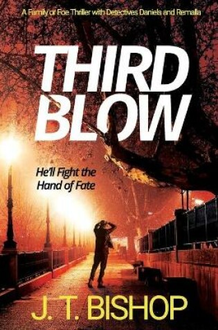 Cover of Third Blow