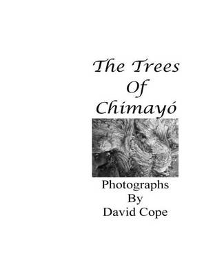 Book cover for The Trees Of Chimayo