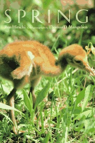 Cover of Hirschi Ron : Spring