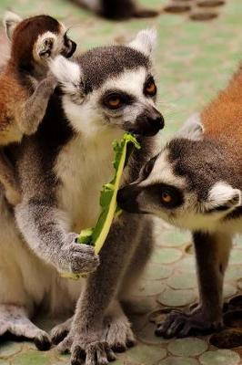 Book cover for Ring Tailed Lemur Family Journal