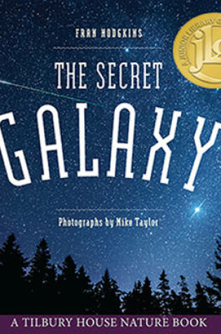 Cover of The Secret Galaxy