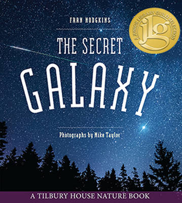 Book cover for The Secret Galaxy