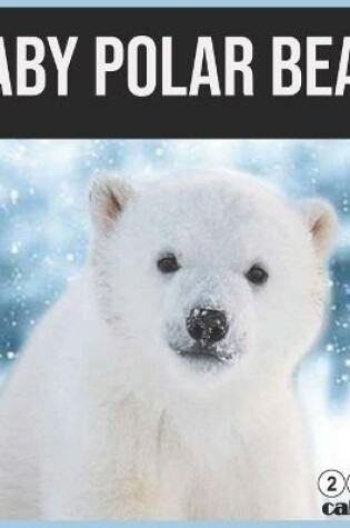 Cover of baby Polar bear 2021 Calendar