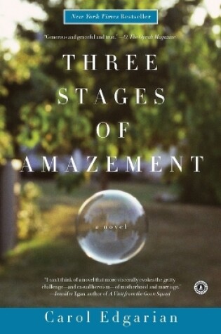 Cover of Three Stages of Amazement