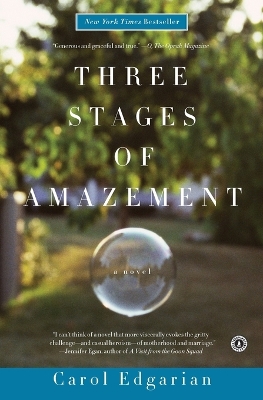Book cover for Three Stages of Amazement