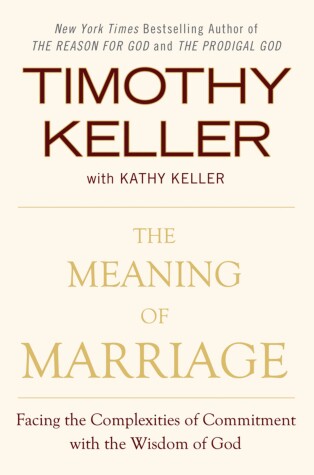 Book cover for The Meaning of Marriage