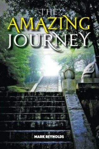 Cover of The Amazing Journey