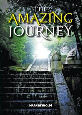 Book cover for The Amazing Journey
