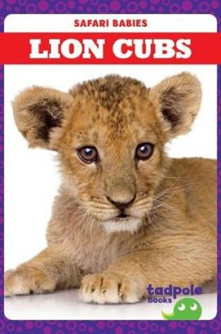 Cover of Lion Cubs
