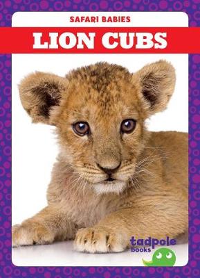 Book cover for Lion Cubs