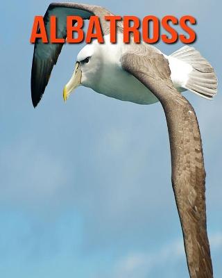 Book cover for Albatross