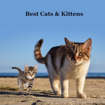 Book cover for Best Cats and Kittens for Kids Book