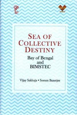 Book cover for Sea of Collective Destiny