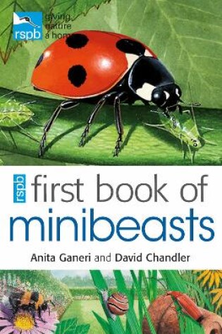 Cover of RSPB First Book Of Minibeasts