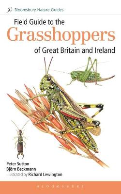 Book cover for Field Guide to the Grasshoppers of Great Britain and Ireland