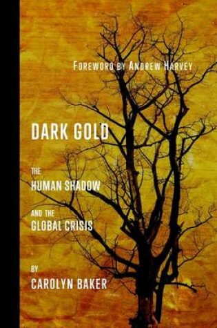Cover of Dark Gold