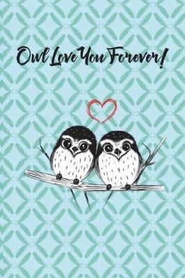 Book cover for Owl Love You Forever!