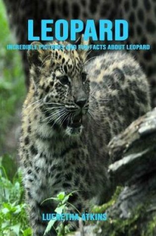 Cover of Leopard