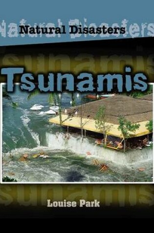 Cover of Us Tsunamis Natural Disasters