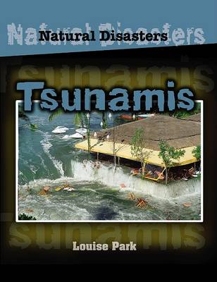 Book cover for Us Tsunamis Natural Disasters