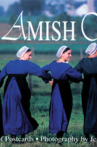 Cover of The Amish Way