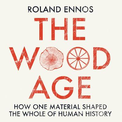 Book cover for The Wood Age