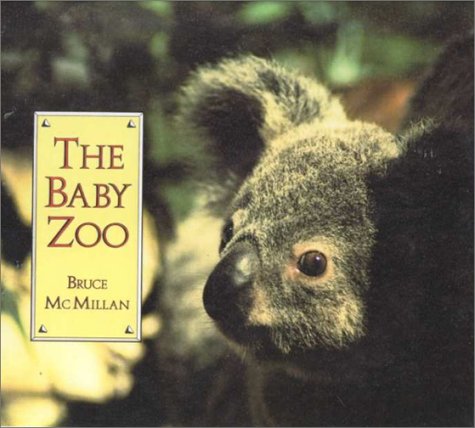 Book cover for Baby Zoo