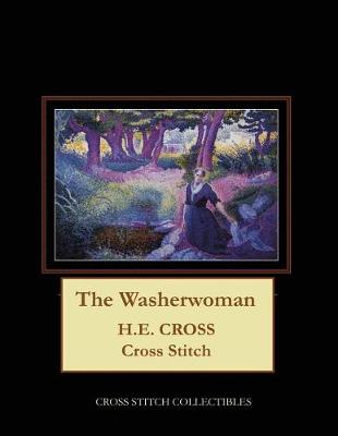 Book cover for The Washerwoman