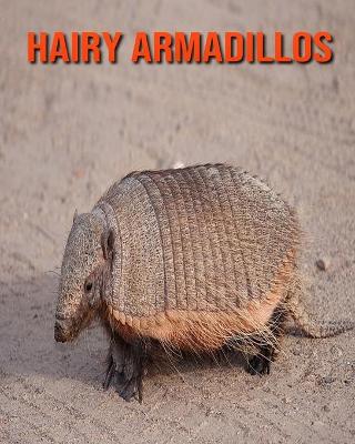 Book cover for Hairy Armadillos