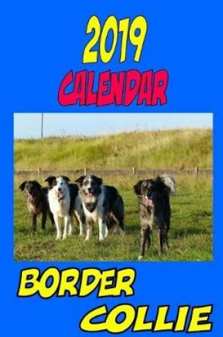 Cover of 2019 Calendar Border Collie