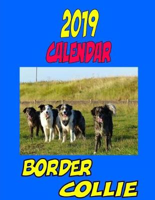 Book cover for 2019 Calendar Border Collie