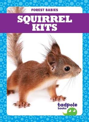 Book cover for Squirrel Kits