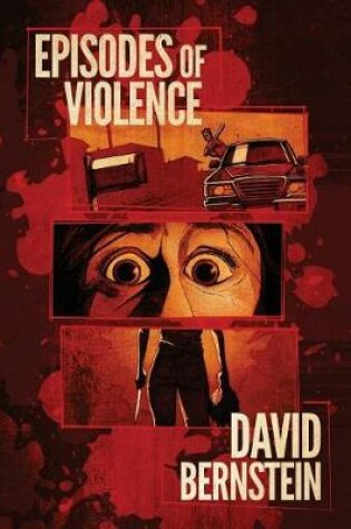 Cover of Episodes of Violence