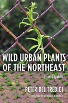 Book cover for Wild Urban Plants of the Northeast