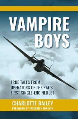 Cover of Vampire Boys