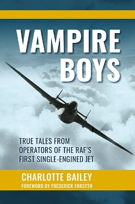 Book cover for Vampire Boys