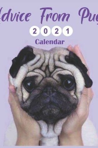 Cover of Advice From Pugs 2021 Calendar