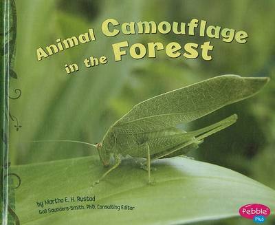 Book cover for Animal Camouflage in the Forest