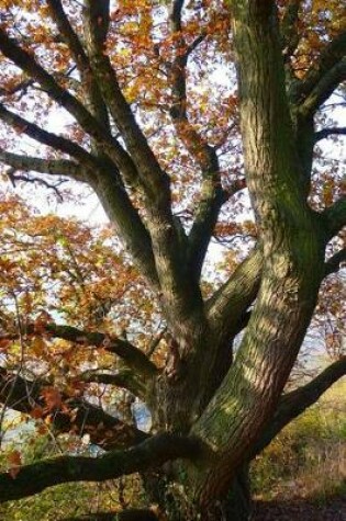 Cover of Autumn Leaves on an Oak Tree Journal